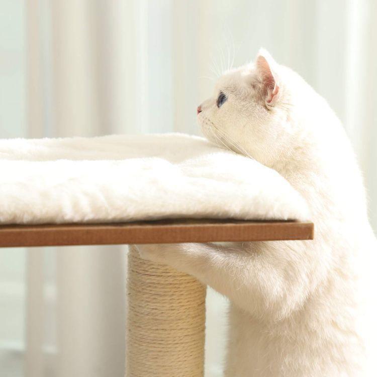 3 Beds Cat Tree FredCo