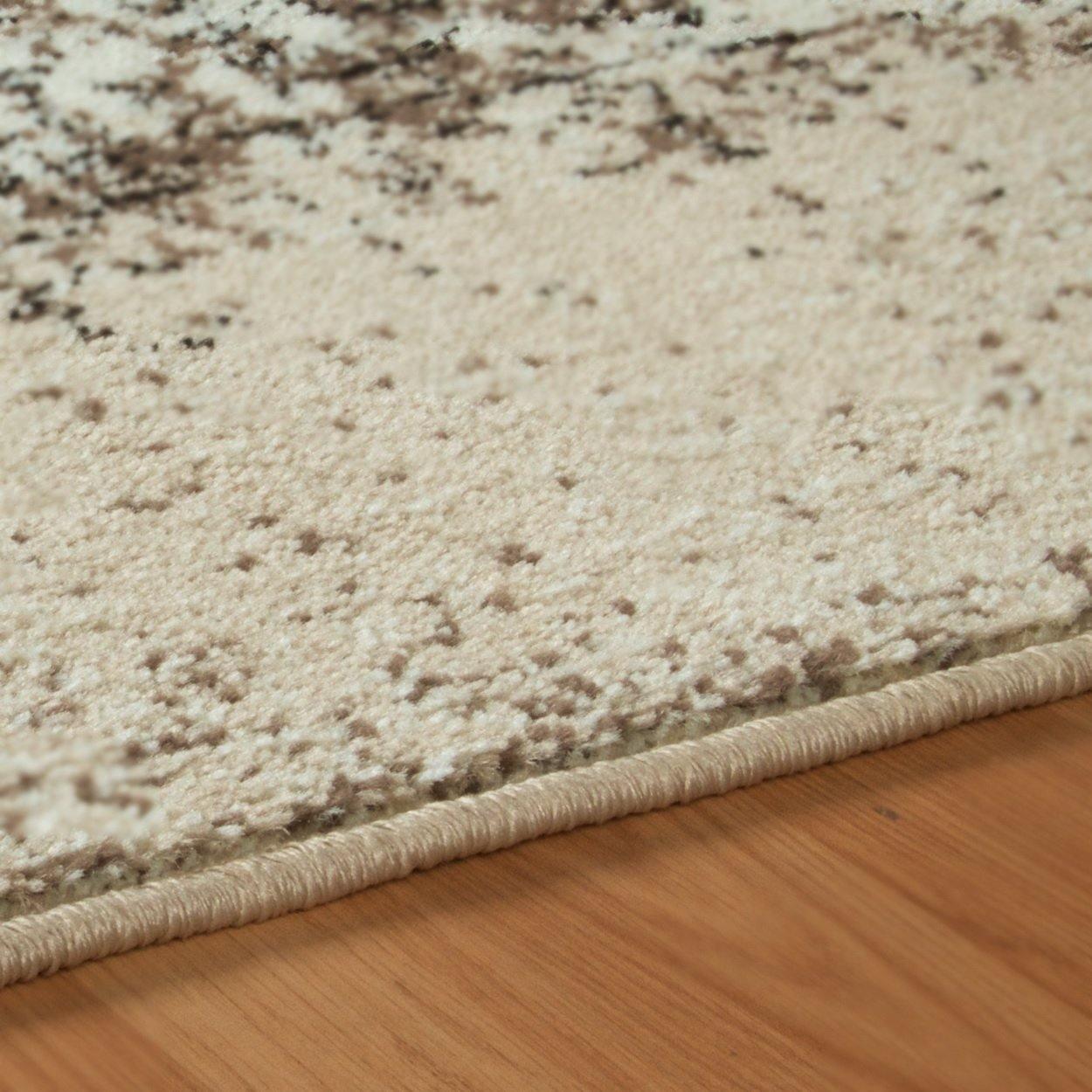 Bristol Contemporary Distressed Rug FredCo