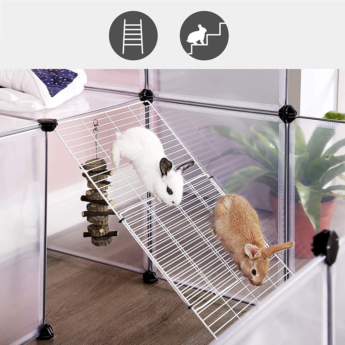 Guinea Pig Playpen with Dense Ramp FredCo