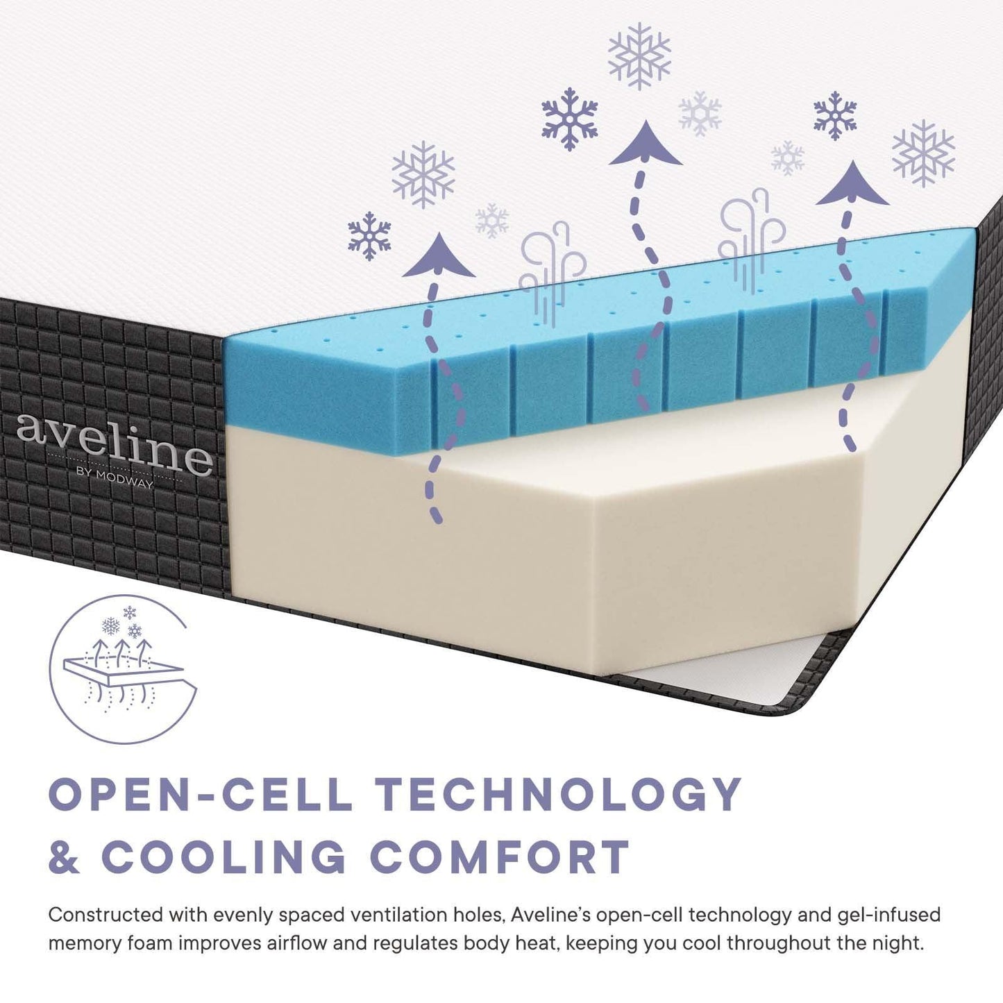 Modway Aveline 12" Memory Foam Queen Mattress FredCo