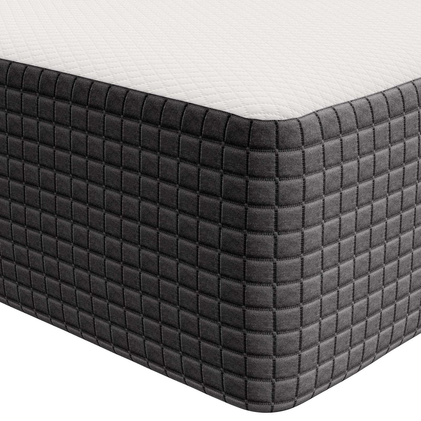Modway Aveline 12" Memory Foam Queen Mattress FredCo