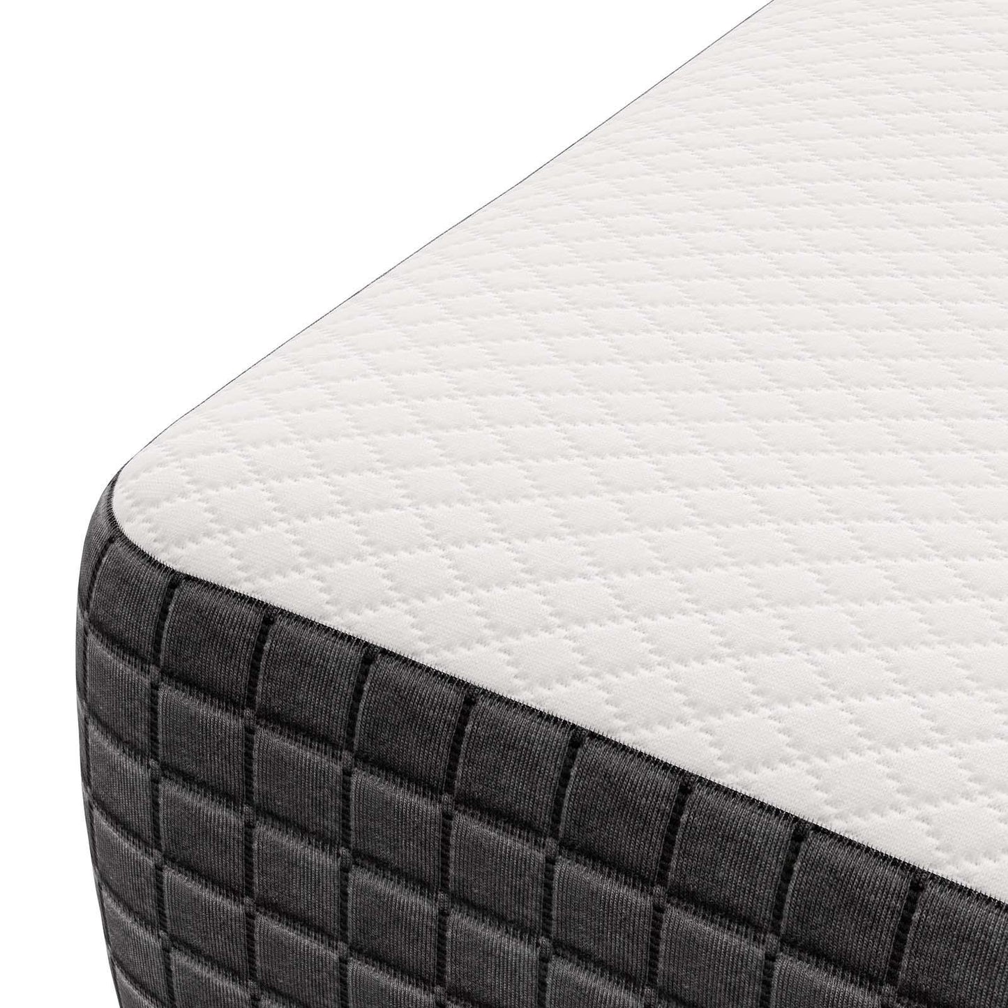 Modway Aveline 8" Memory Foam Mattress FredCo