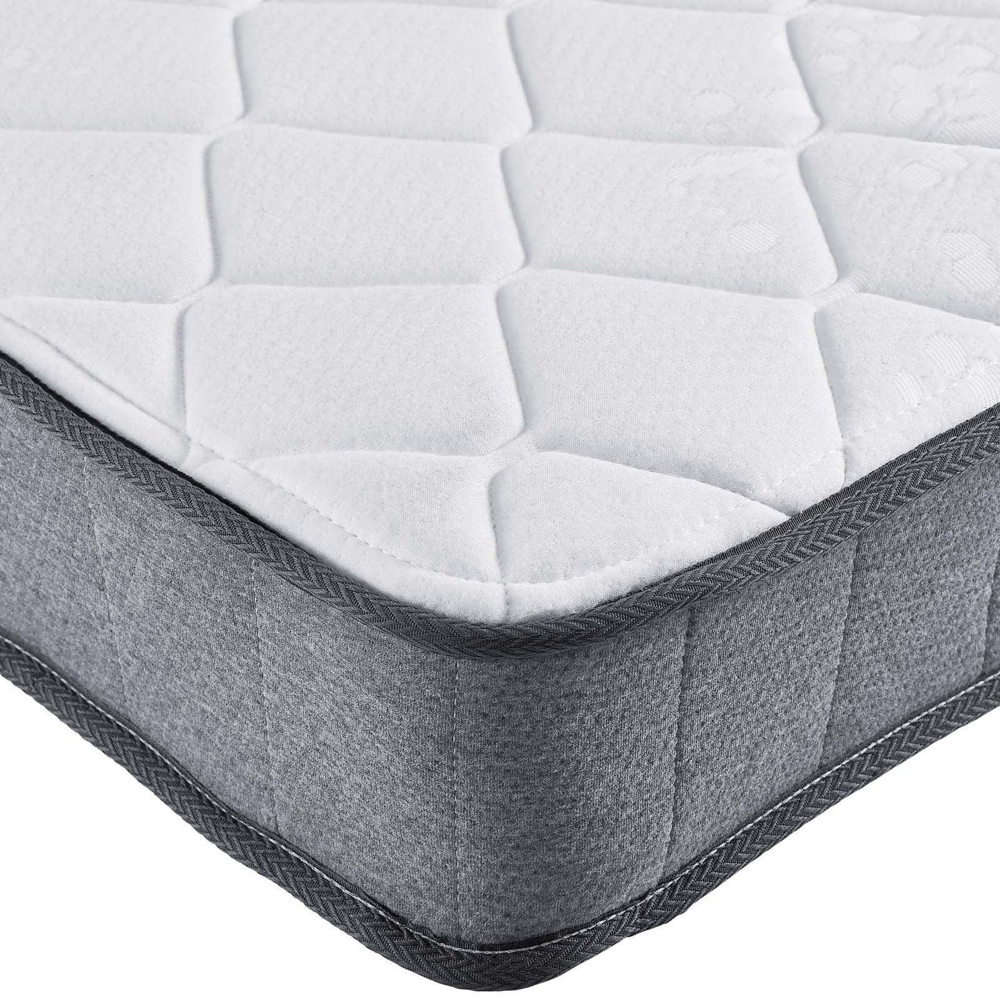 Modway Kate 6" Twin Mattress FredCo