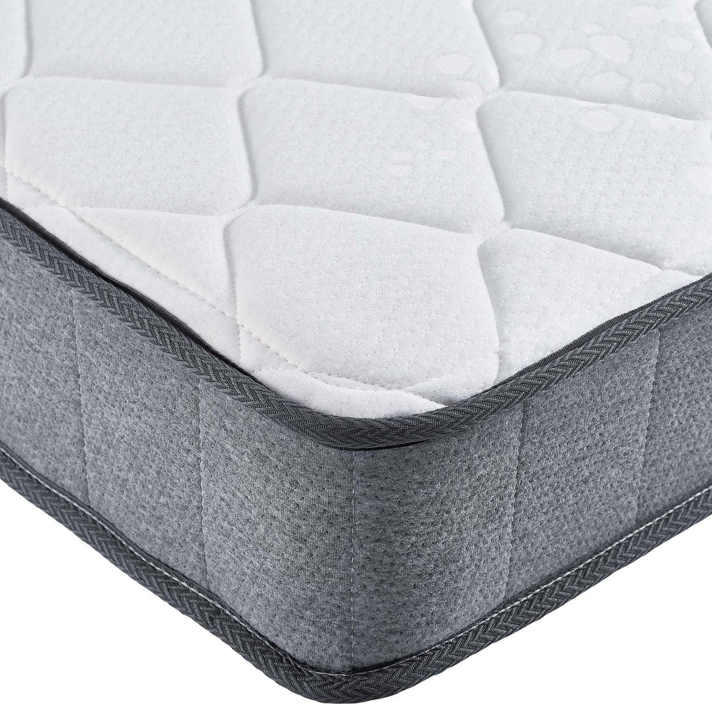Modway Kate 8" Twin Mattress FredCo