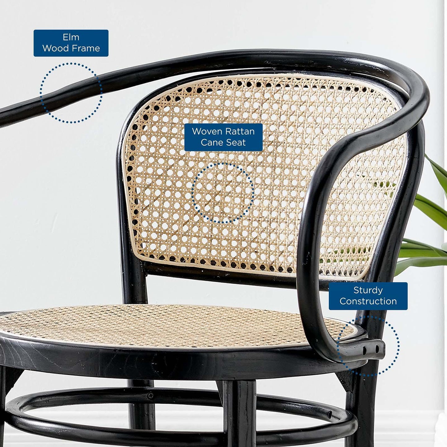 Modway Oliana Wood Dining Armchair FredCo