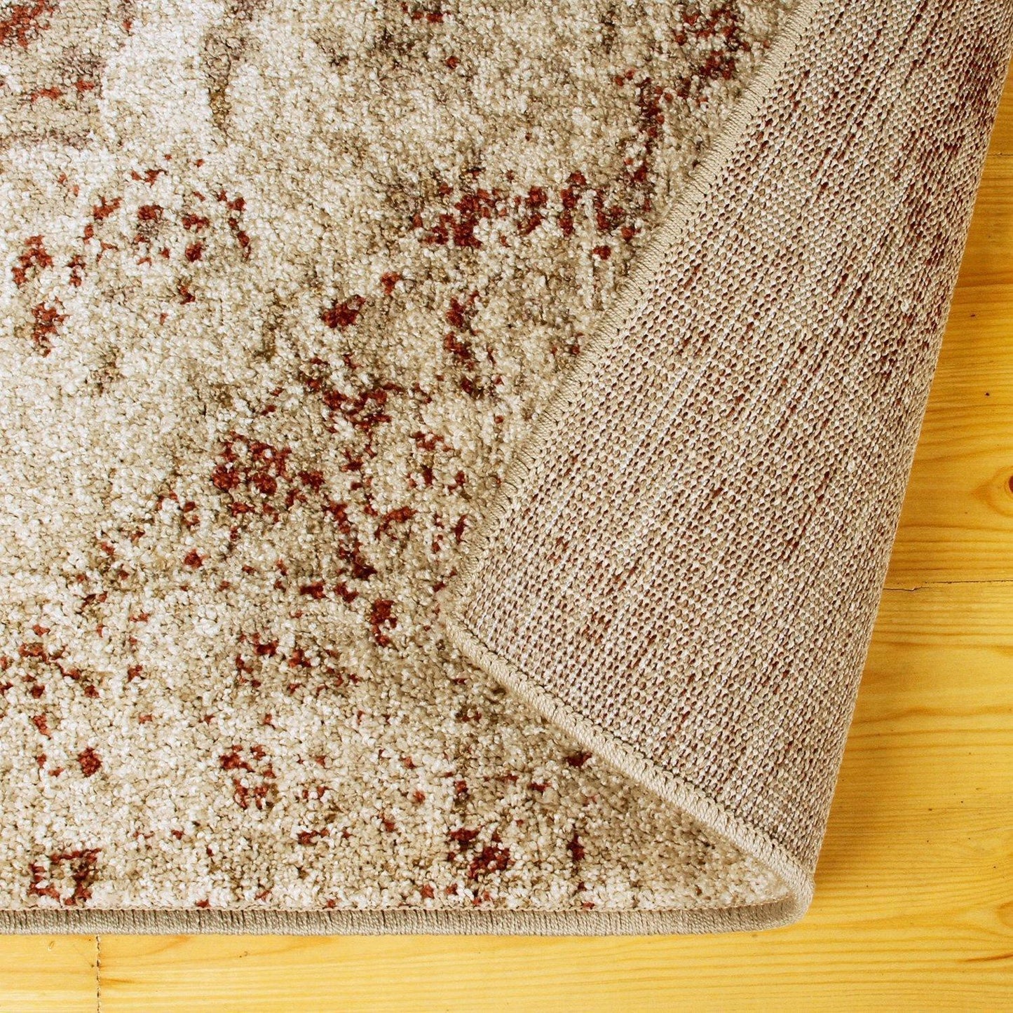 Ombre Oriental Vintage Medallion Rug FredCo