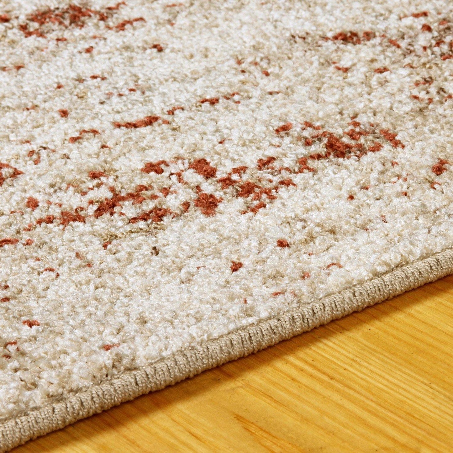 Ombre Oriental Vintage Medallion Rug FredCo
