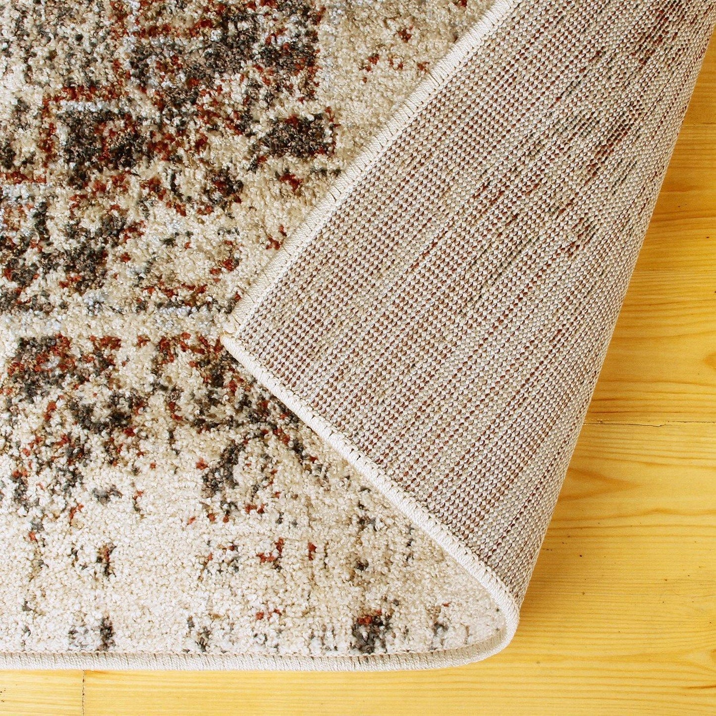 Ombre Oriental Vintage Medallion Rug FredCo