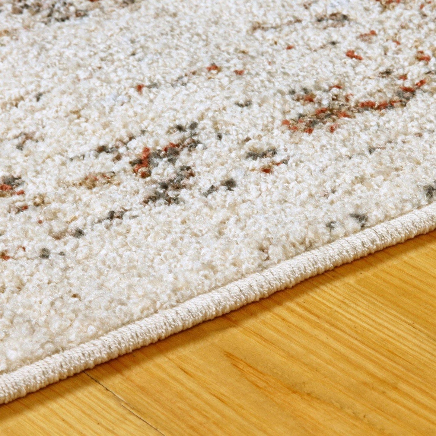 Ombre Oriental Vintage Medallion Rug FredCo