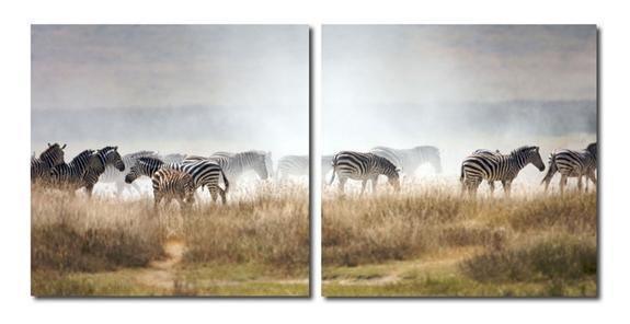 A Zeal of Zebras Mounted Photography Print Diptych FredCo
