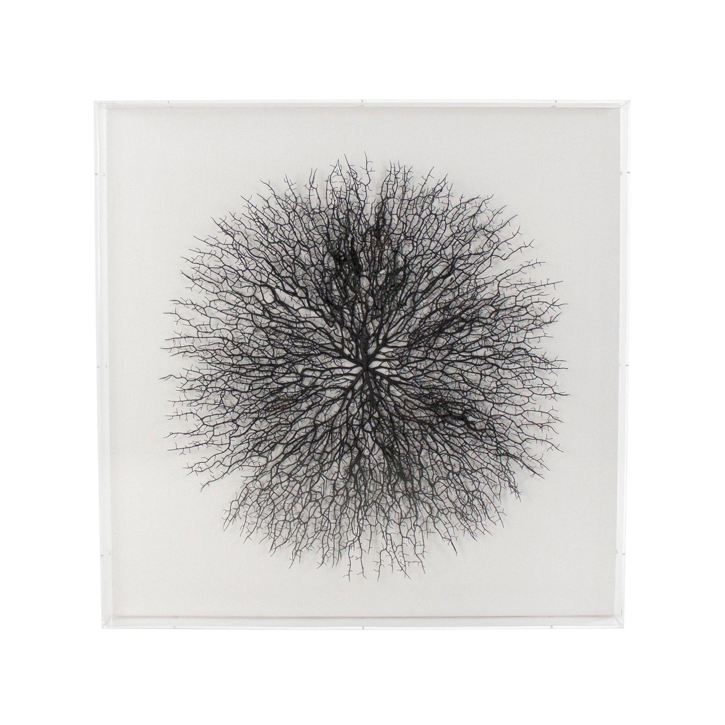 Abstract Branches in Acrylic Wall Art ZEN35777 FredCo