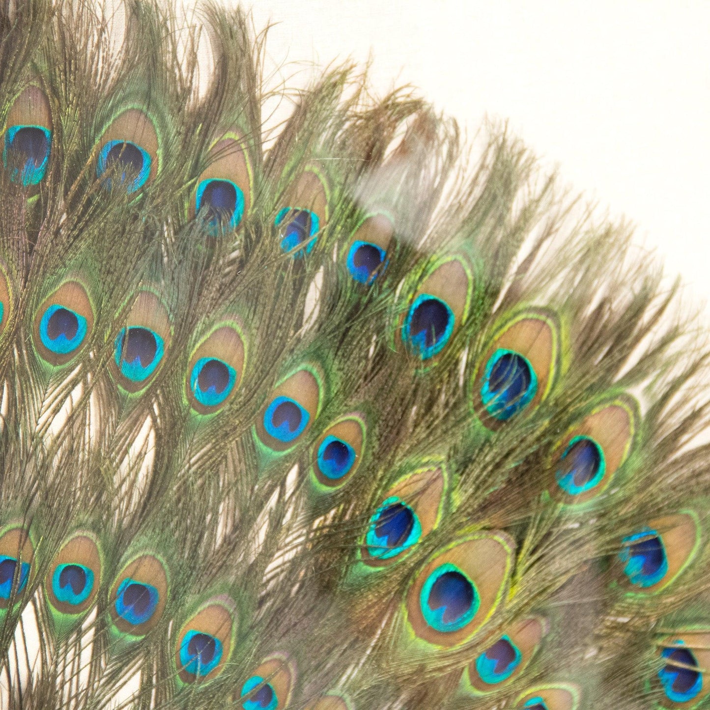 Abstract Paper Acrylic Framed Art ZEN30103 FredCo
