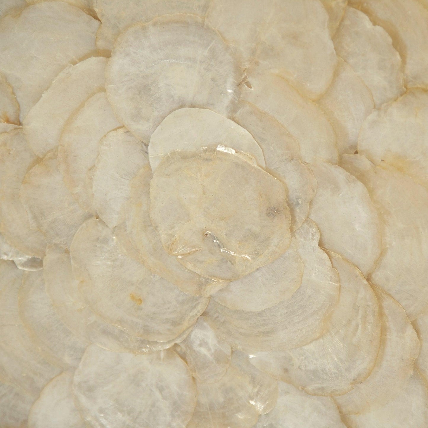 Abstract Shell Art ZEN36702A FredCo