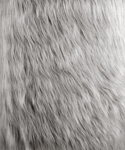 ACME Arundell II Office Chair, Gray Faux Fur & Gold Finish FredCo