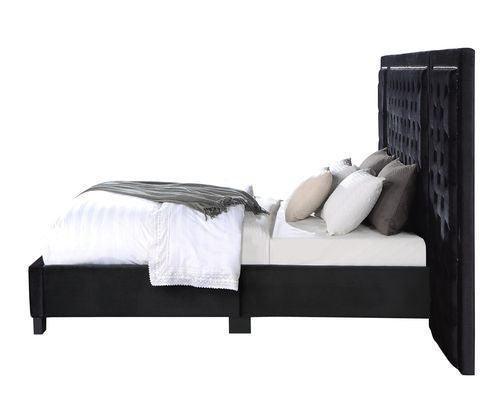 ACME Damazy Eastern King Bed, Black Velvet FredCo