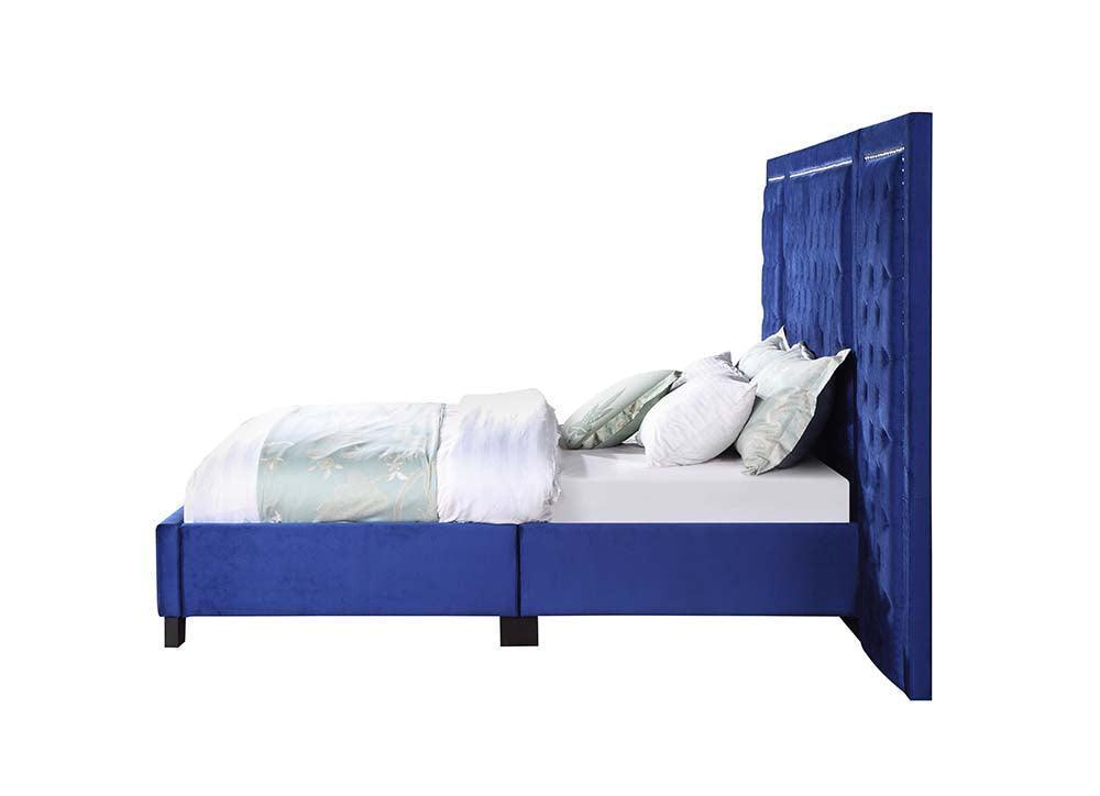 ACME Damazy Queen Bed, Blue Velvet FredCo