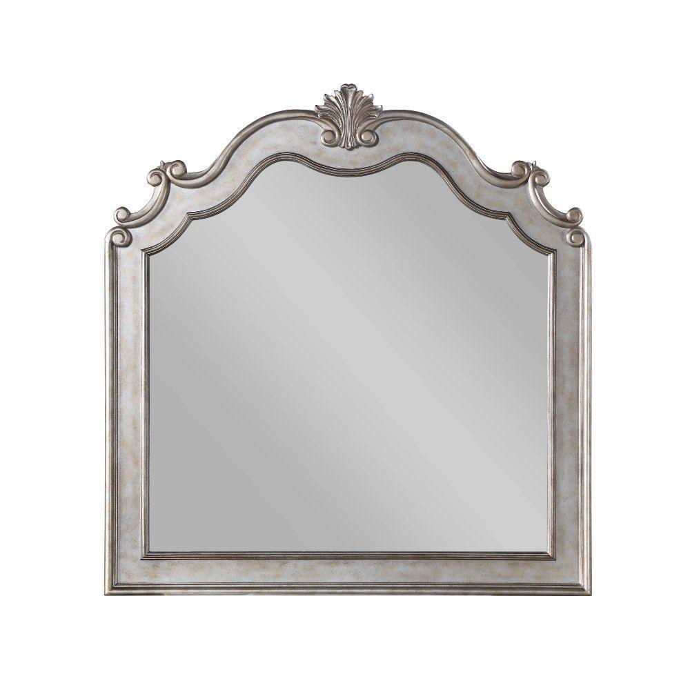 ACME Esteban Mirror, Antique Champagne FredCo