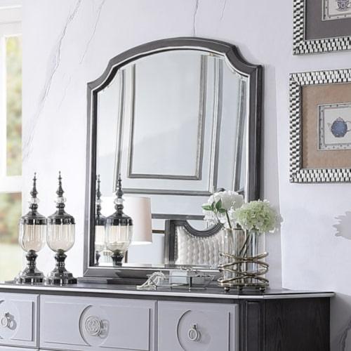 ACME House Beatrice Mirror, Charcoal Finish FredCo