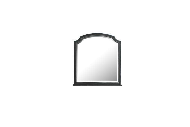 ACME House Beatrice Mirror, Charcoal Finish FredCo
