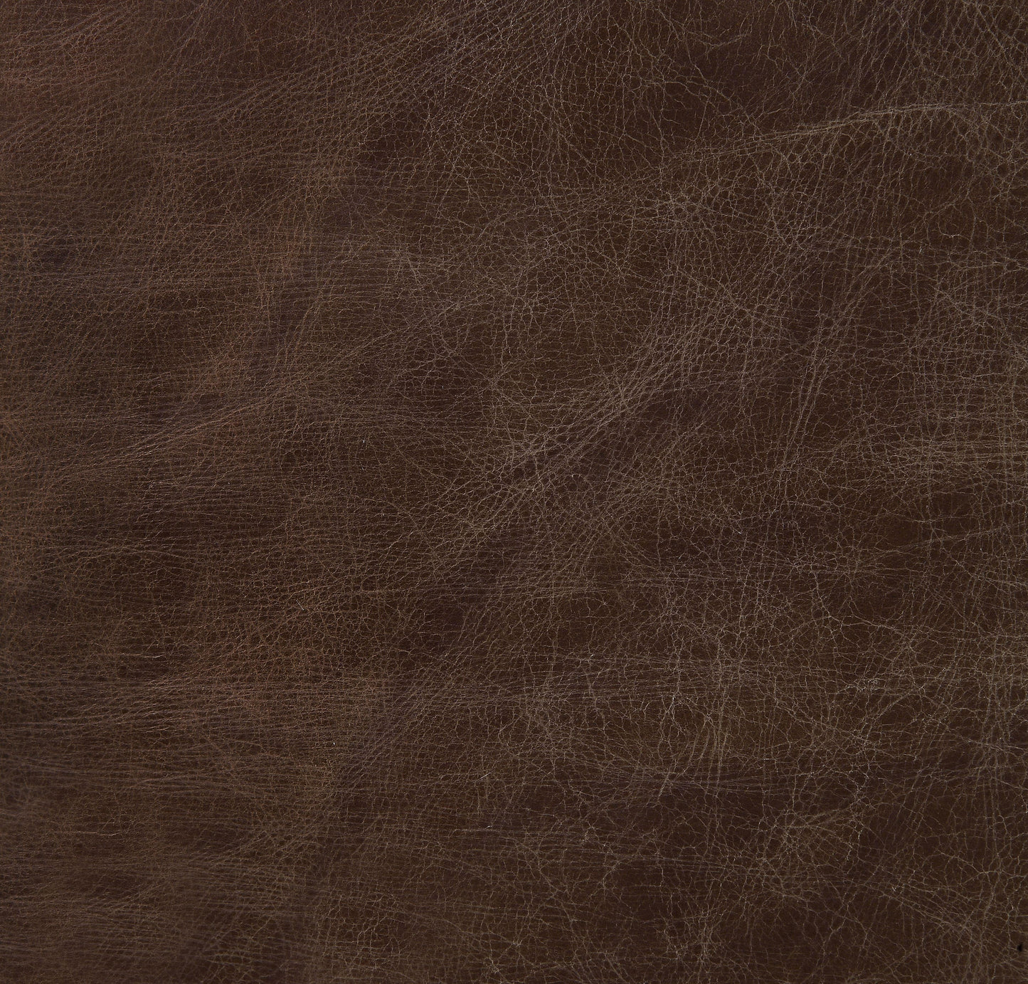 ACME Rolento Executive Office Chair, Espresso Top Grain Leather FredCo