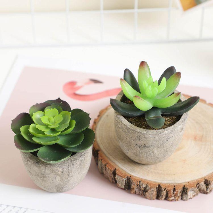 Artificial Potted Succulents FredCo