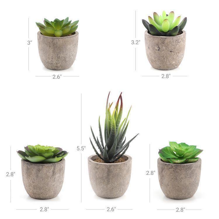 Artificial Potted Succulents FredCo