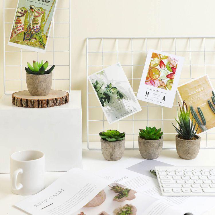 Artificial Potted Succulents FredCo