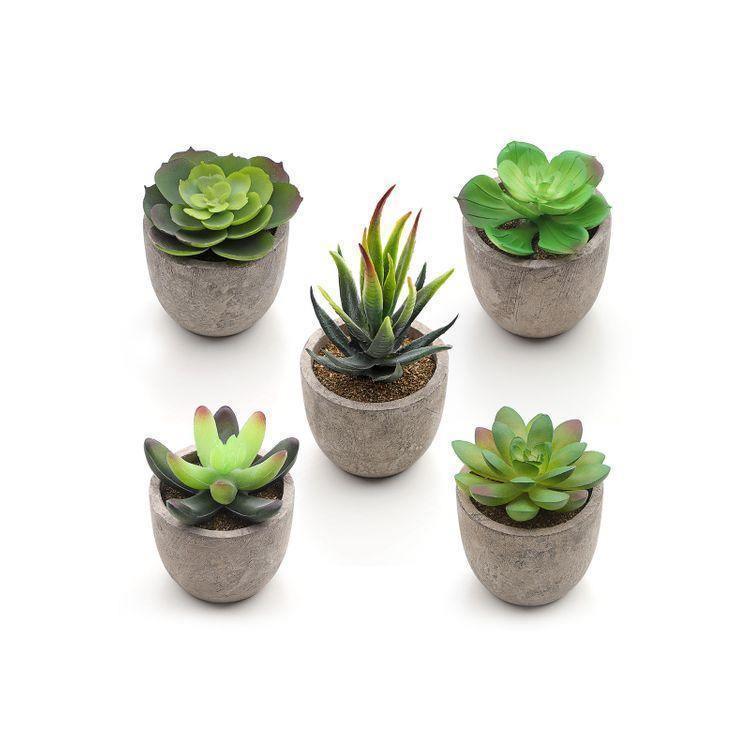 Artificial Potted Succulents FredCo