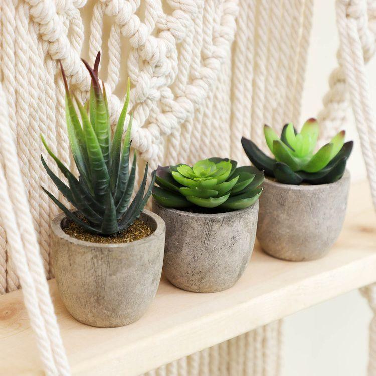 Artificial Potted Succulents FredCo