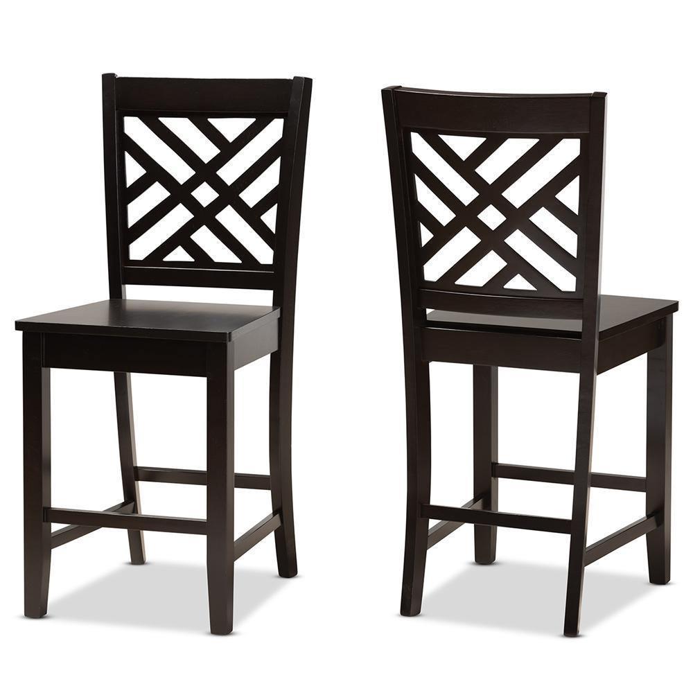 Caron Modern and Contemporary Transitional Dark Brown Finished Wood 2-Piece Counter Stool Set FredCo