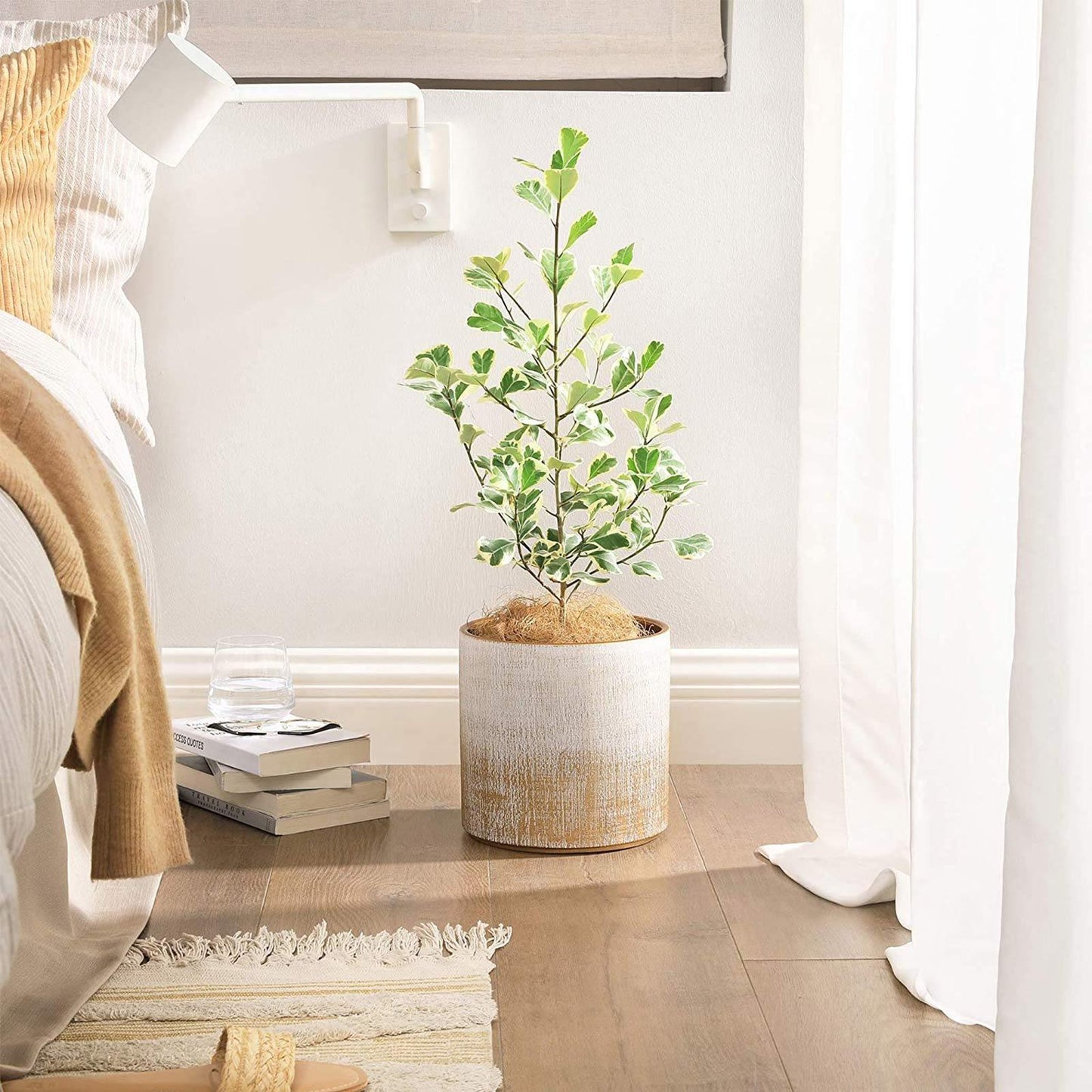 Ceramic Plant Pot Brushed White and Gold FredCo