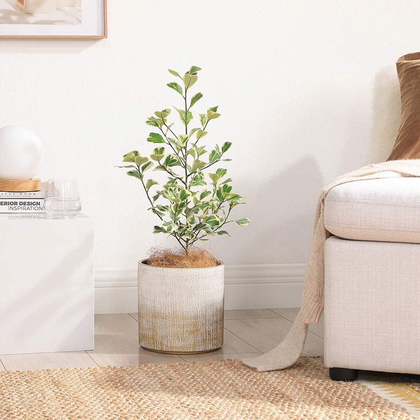 Ceramic Plant Pot Brushed White and Gold FredCo