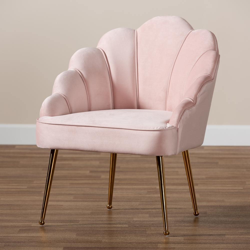 Cinzia Glam and Luxe Light Pink Velvet Fabric Upholstered Gold Finished Seashell Shaped Accent Chair FredCo