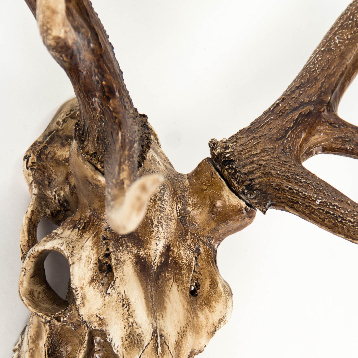 Deer Skull Wall Decor SHI018 FredCo