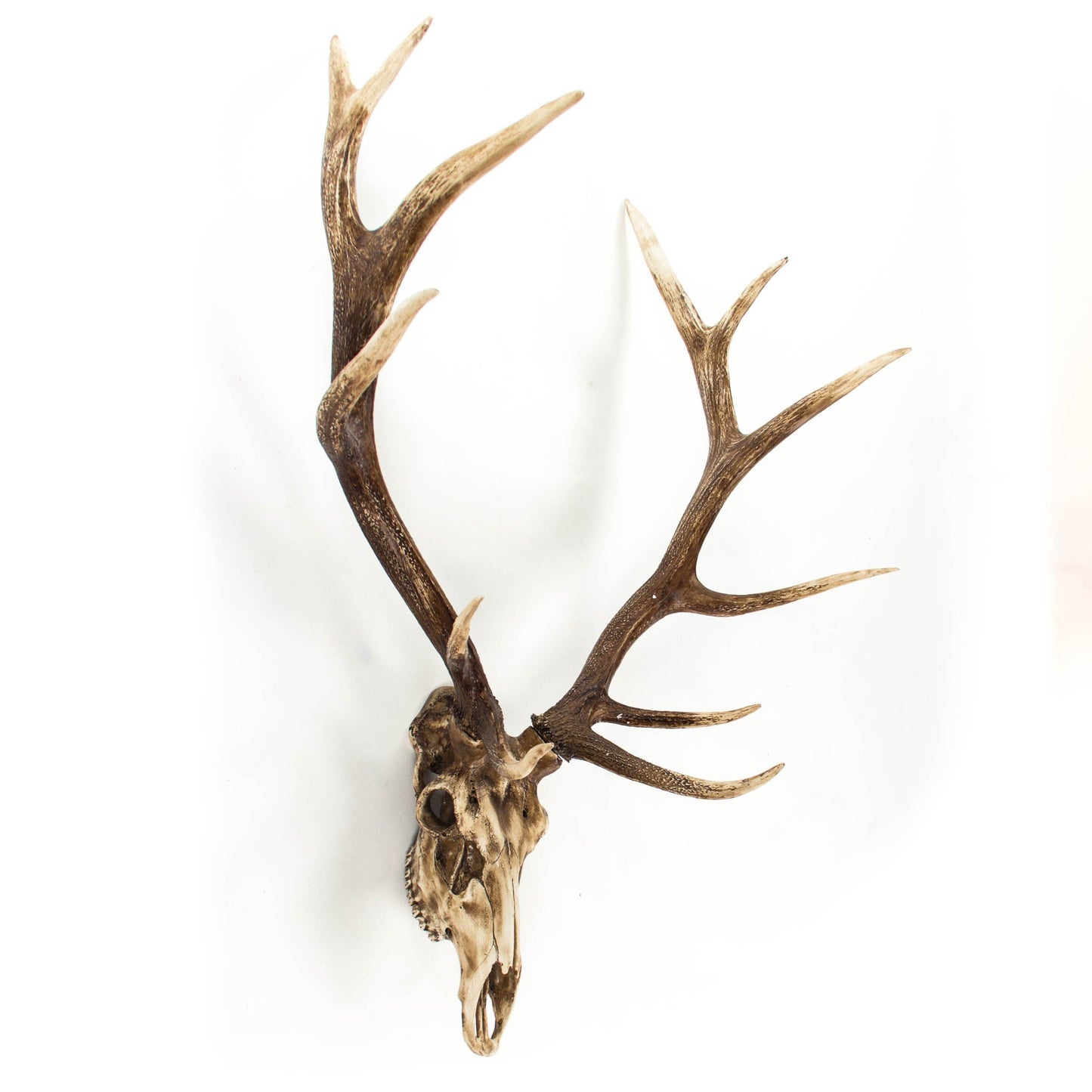 Deer Skull Wall Decor SHI018 FredCo