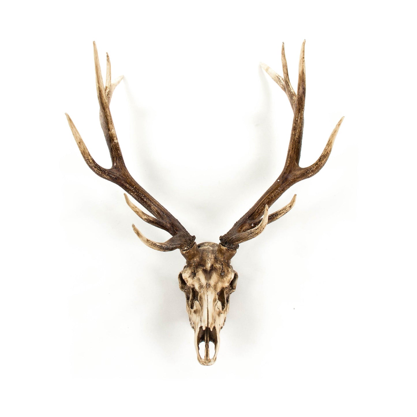 Deer Skull Wall Decor SHI018 FredCo