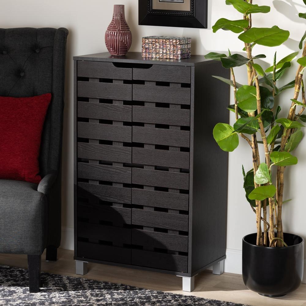 Ernest Modern and Contemporary Dark Brown Finished Wood 2-Door Shoe Storage Cabinet FredCo