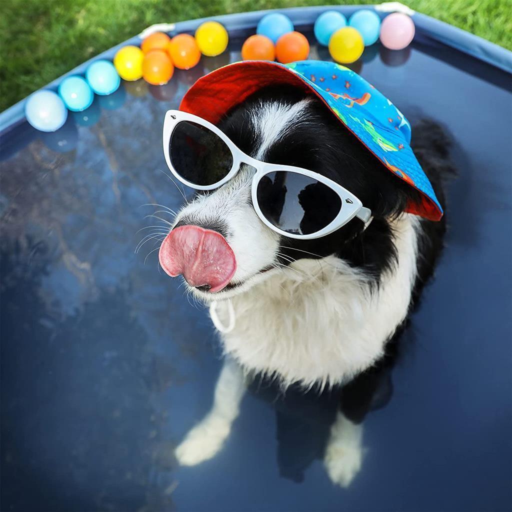 Foldable Dog Swimming Pool FredCo
