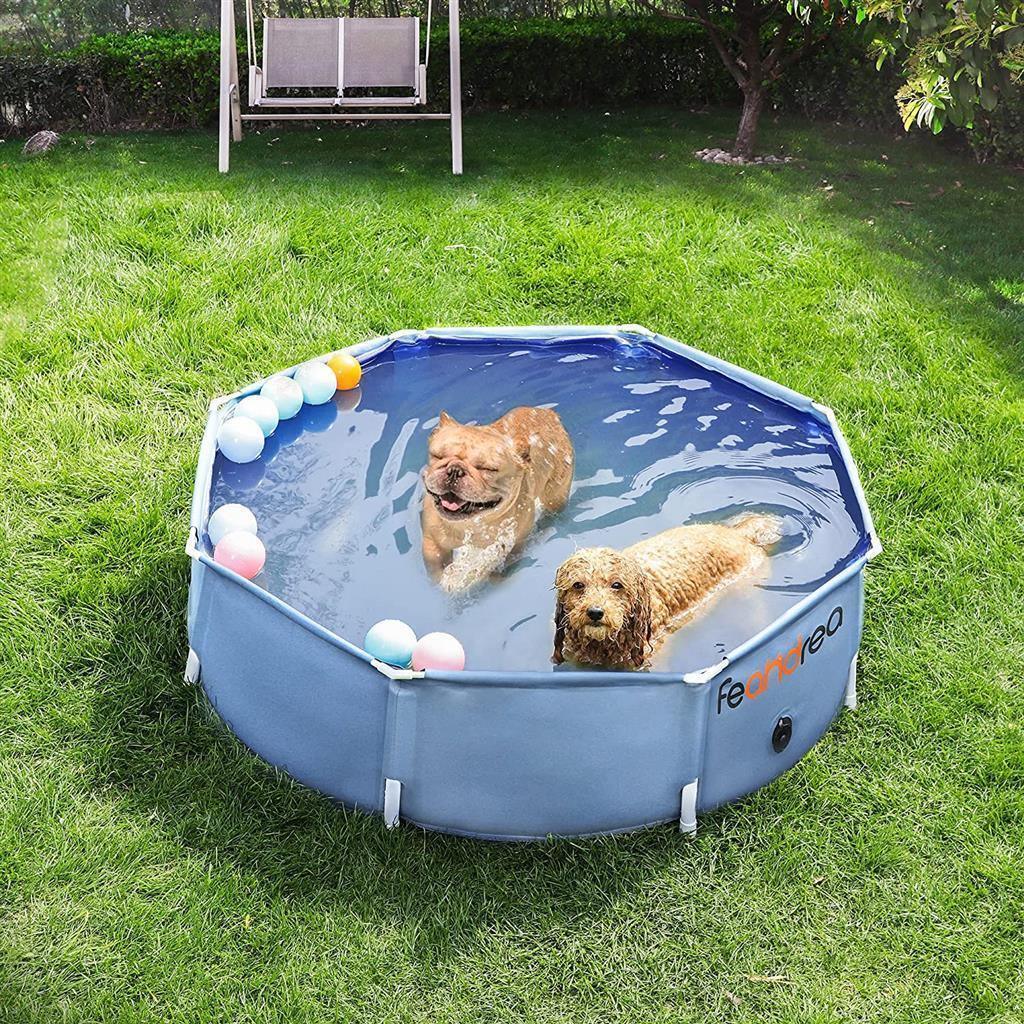 Foldable Pet Swimming Pool FredCo