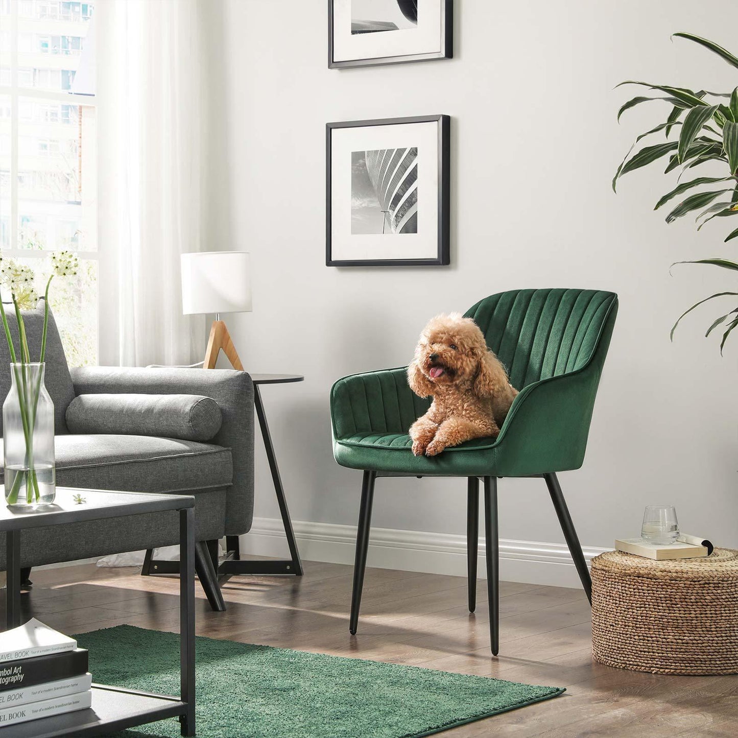 Green Dining Chair with Armrests FredCo