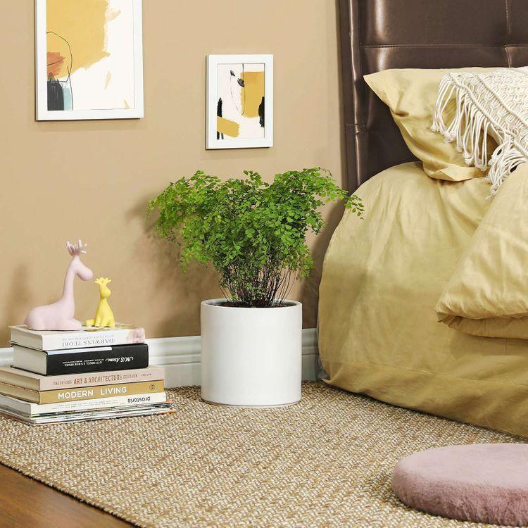 Indoor Plant Pots White FredCo