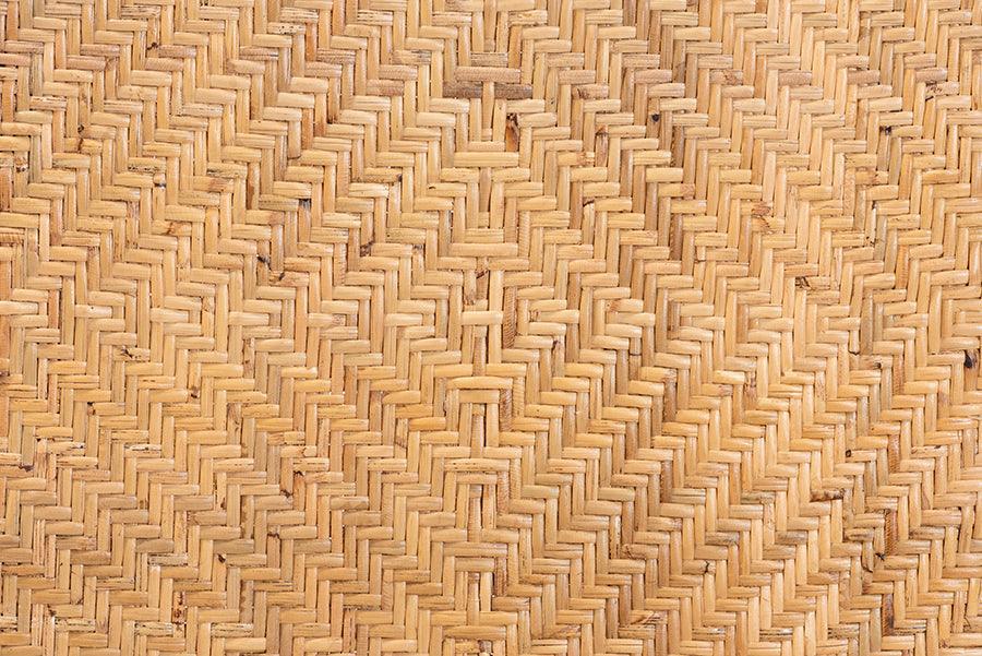 Irene Modern Bohemian Natural Rattan Dining Chair FredCo