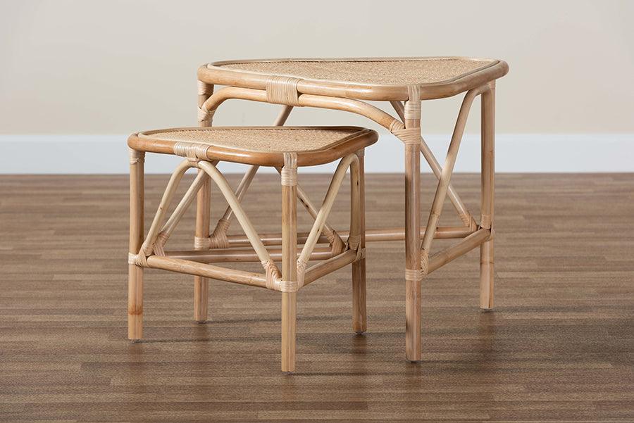 Jayden Modern Bohemian Natural Brown Finished Rattan 2-Piece End Table Set FredCo