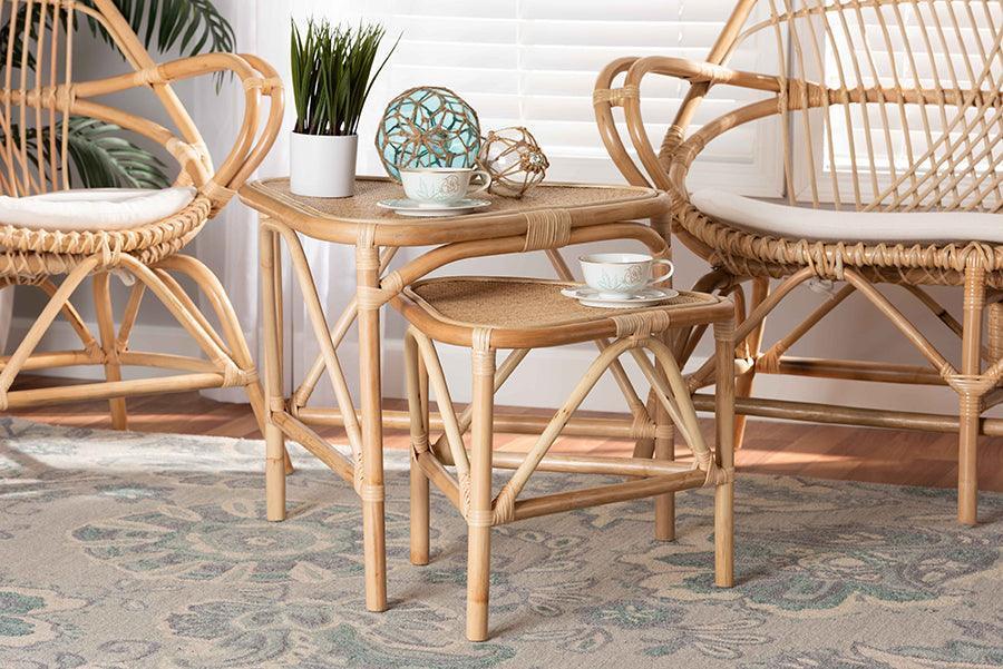 Jayden Modern Bohemian Natural Brown Finished Rattan 2-Piece End Table Set FredCo