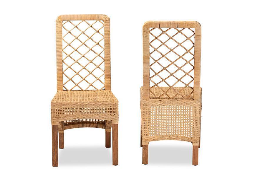 Moscow Modern Bohemian Natural Brown Rattan and Walnut Brown Finished Wood 2-Piece Dining Chair Set FredCo