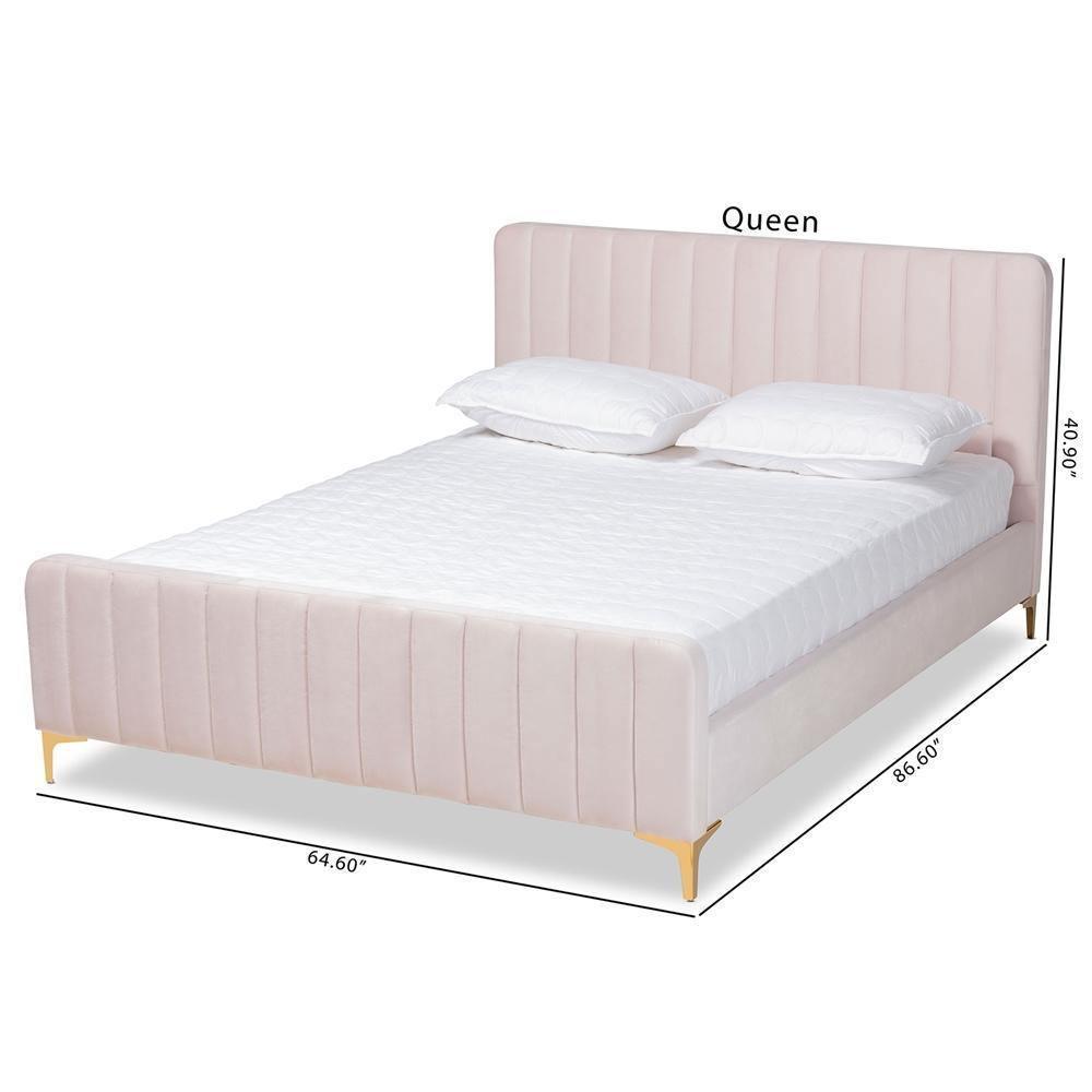 Nami Modern Contemporary Glam and Luxe Light Pink Velvet Fabric Upholstered and Gold Finished Queen Size Platform Bed FredCo