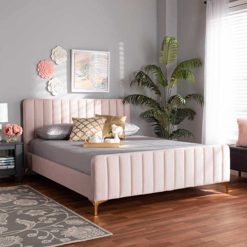 Nami Modern Contemporary Glam and Luxe Light Pink Velvet Fabric Upholstered and Gold Finished Queen Size Platform Bed FredCo