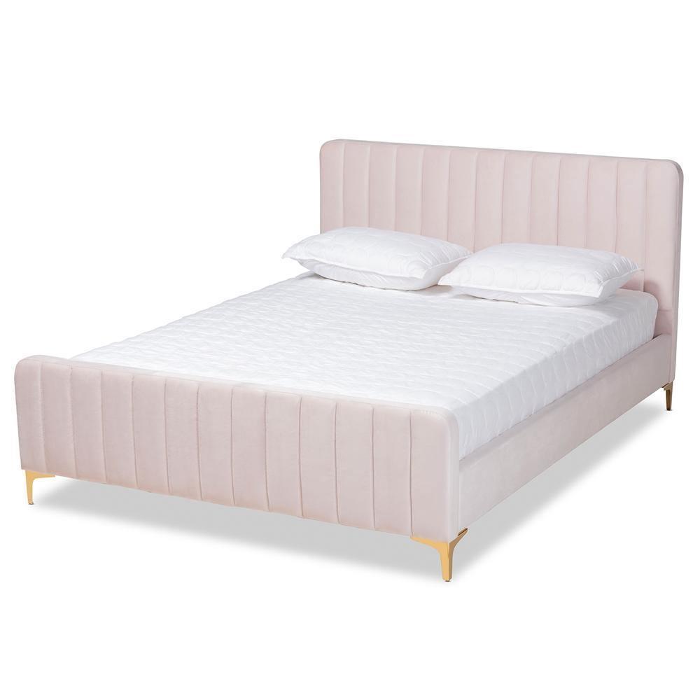Nami Modern Contemporary Glam and Luxe Light Pink Velvet Fabric Upholstered and Gold Finished Queen Size Platform Bed FredCo