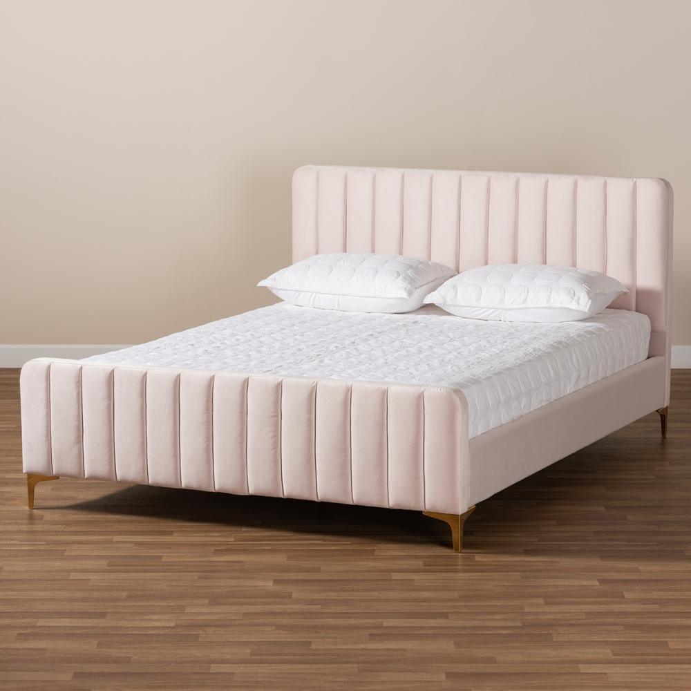 Nami Modern Contemporary Glam and Luxe Light Pink Velvet Fabric Upholstered and Gold Finished Queen Size Platform Bed FredCo