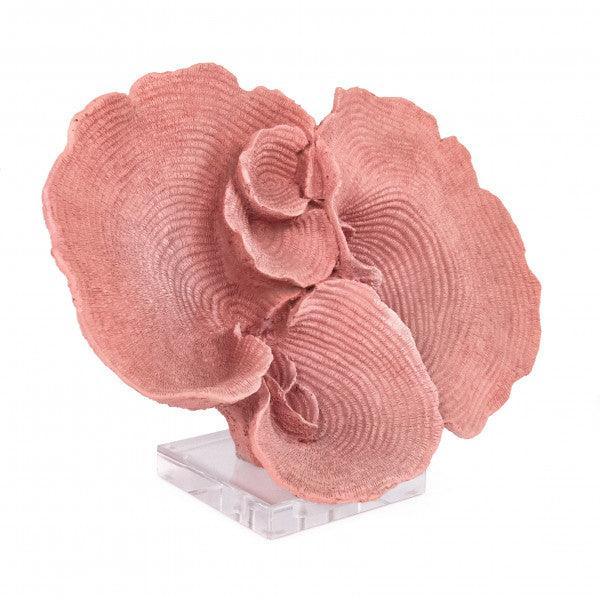 Pink Resin Coral on Acrylic Base SHI065 13 Inches FredCo